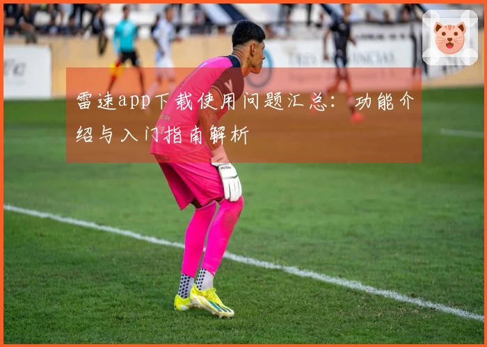 雷速app下载使用问题汇总：功能介绍与入门指南解析